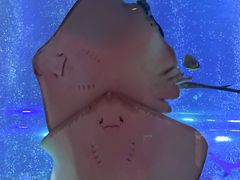 -沈阳海洋探索中心