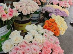 -循礼门鲜花花市(武汉循礼门店)