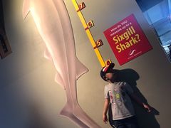 -西雅图水族馆