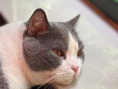 -后院儿·精酿·塔罗Happy Bar