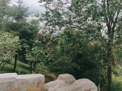 -皋兰山