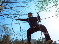 -招虎山国家森林公园-售票处