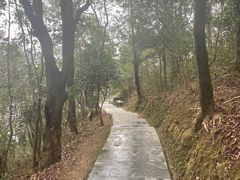 -梧桐山风景名胜区