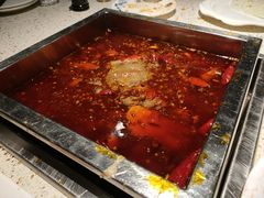-二荆条·蜀鲜汇城市森林火锅
