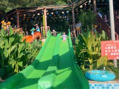 -苏州乐园森林水世界