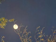 -济南国际园博园