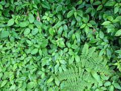 -龙苍沟森林公园