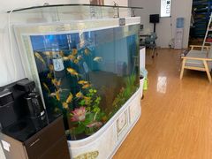 -云镜眼镜加工中心(南环路店)