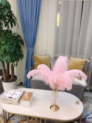 -缤卡妮肌肤管理中心