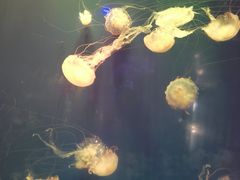-杭州海底世界