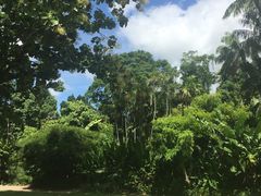 -悉尼歌剧院