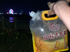 -伊犁河景区