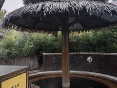 -大连金石滩绿发温泉假日酒店