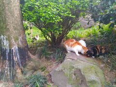 -静安公园(静安寺街道)
