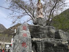 -大岭沟猕猴桃谷风景区