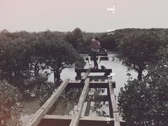 -北海金海湾红树林生态旅游区