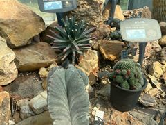 -国家植物园南园