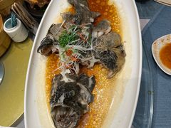 清蒸石斑鱼-时间里·新派粤菜(远洋店)