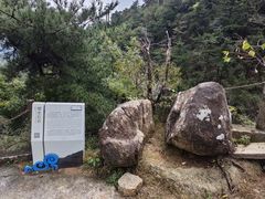 -沂蒙山旅游区云蒙景区(蒙山国家森林公园)