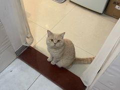 -芭比堂动物医院·24小时·眼科中心(深圳中心)