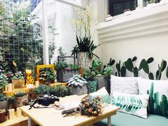 -拾壹cafe·工作室
