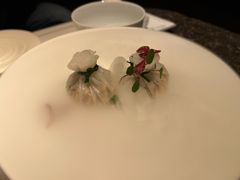-觀芷隐轩