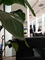 -东方麒麟·潘多拉SALON