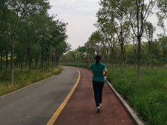 -天津东丽湖风景区