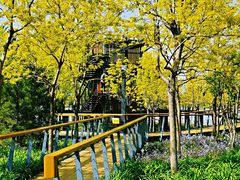 -东郊湿地公园