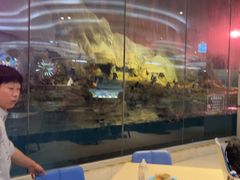 -帝企鹅自助餐厅•儿童岛•真企鹅(长隆企鹅酒店)