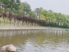 -美兰湖景区