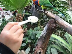 -南宫五洲植物乐园