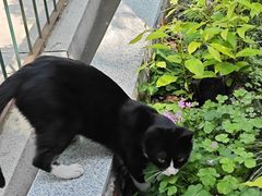 -湖北中医药大学(昙华林校区)