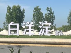 -白洋淀景区