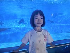 -蓬莱欧乐堡海洋极地世界