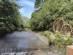 -广州白江湖森林公园