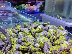 -聚盛源蒸汽海鲜火锅烤肉自助(巨川金海岸购物广场店)