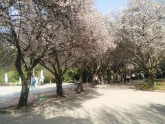 -秦始皇帝陵博物院(兵马俑)