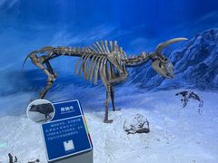 -吉林省自然博物馆