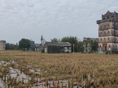 -开平碉楼文化旅游区马降龙景区