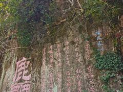 -初溪土楼群