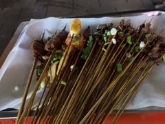 -乐山过把瘾油炸串串(河滨丽苑店)