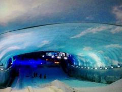 android_upload_pic-世界之窗阿尔卑斯冰雪世界