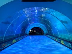 -海合安青岛极地海洋公园