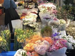 -溪岸路花鸟市场