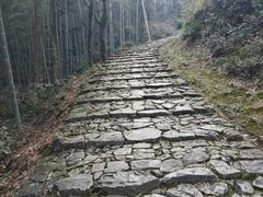 -仙霞关景区