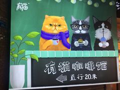 -有猫主题·治愈系猫咖(曾厝垵店)