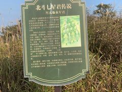-大围山国家森林公园