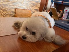 -木兰逸•泰式按摩•头疗•SPA(车公庙店)