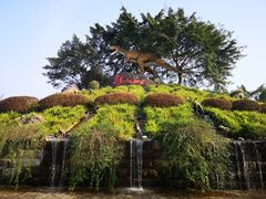 -自贡恐龙博物馆